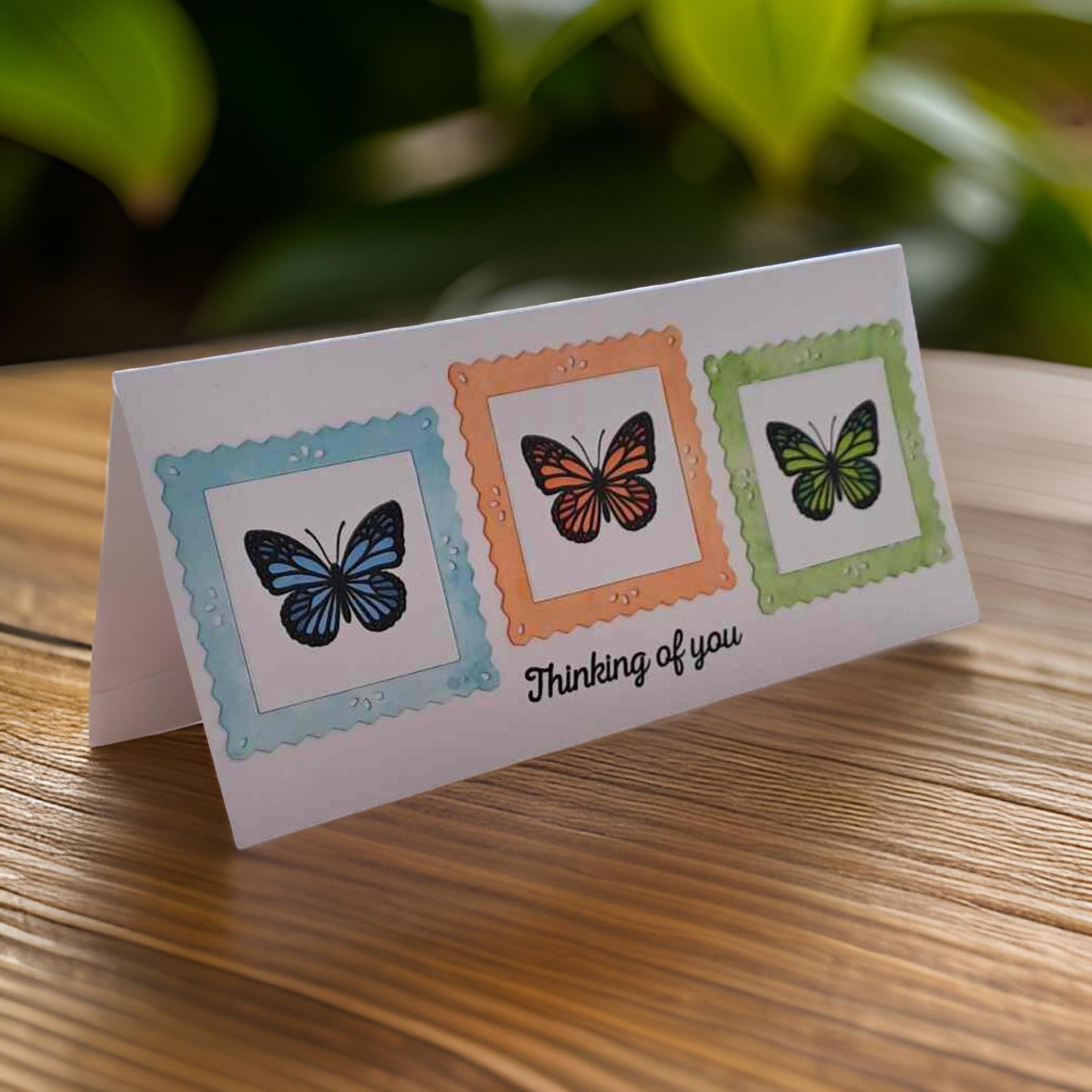 Framed Butterfly Cards