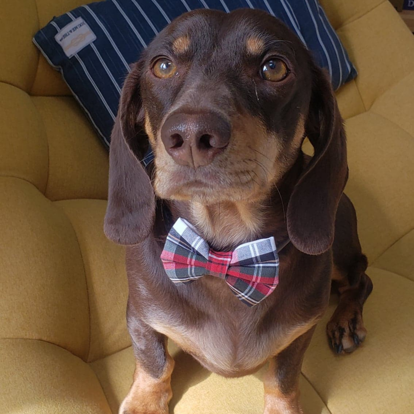 Dobby Bow Tie