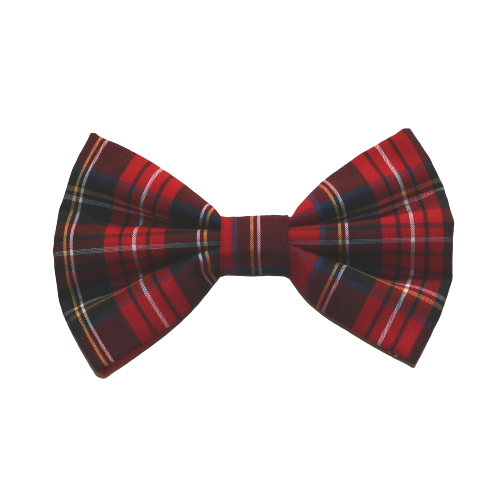 Wilma Bow Tie